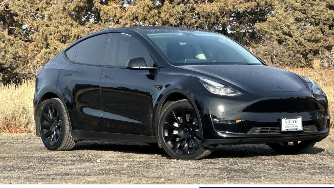 TESLA MODEL Y 2021 5YJYGDEE0MF141345 image